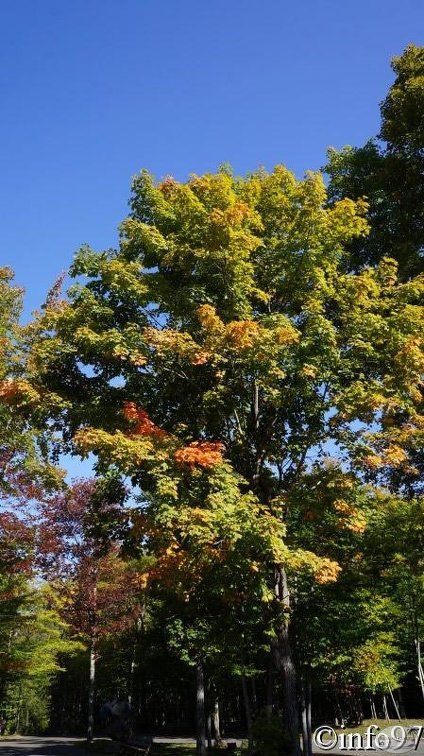 verticale09128.jpg