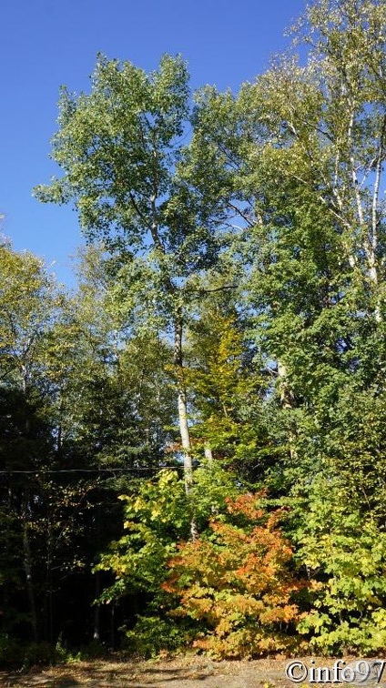 verticale09129.jpg