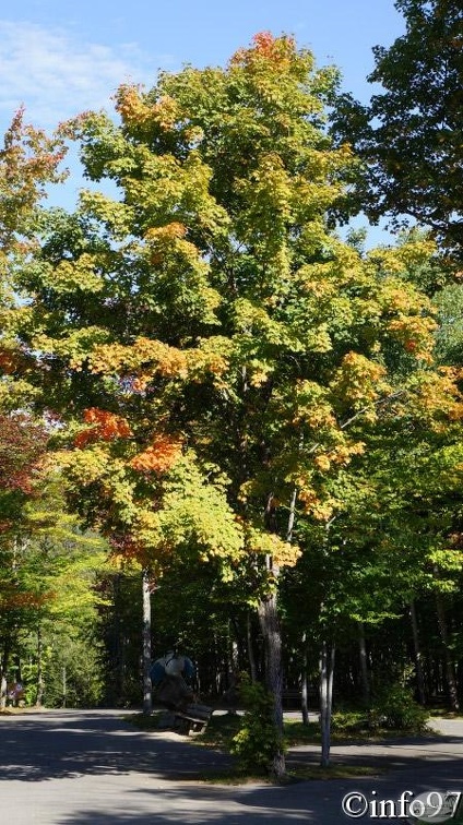 verticale09130.jpg