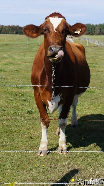 verticale09149.jpg