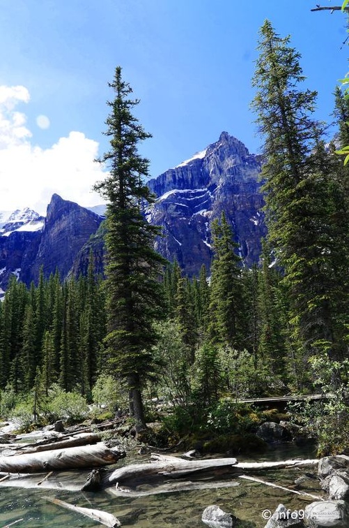 banff-alberta-049.jpg