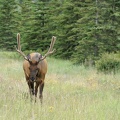 park-jasper-2-02.jpg