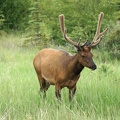 park-jasper-2-03.jpg
