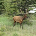 park-jasper-2-05.jpg