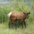 park-jasper-2-08.jpg