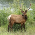 park-jasper-2-10.jpg