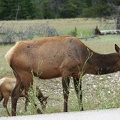 park-jasper-2-11.jpg