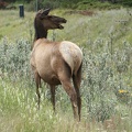 park-jasper-2-12.jpg