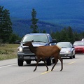park-jasper-2-13.jpg