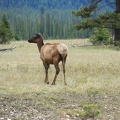 park-jasper-2-15.jpg