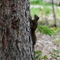 park-jasper-2-28.jpg
