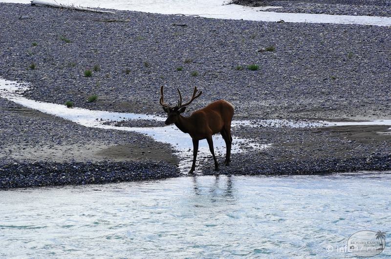 park-jasper-090.jpg