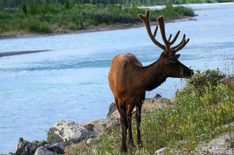 park-jasper-091.jpg