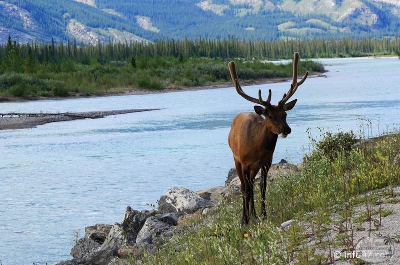 park-jasper-092.jpg