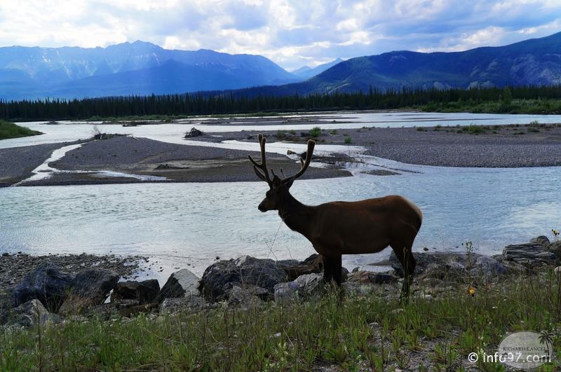 park-jasper-096.jpg