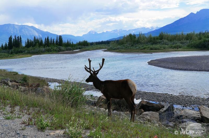 park-jasper-098.jpg