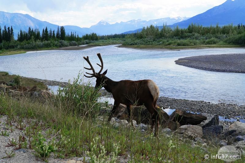 park-jasper-099.jpg