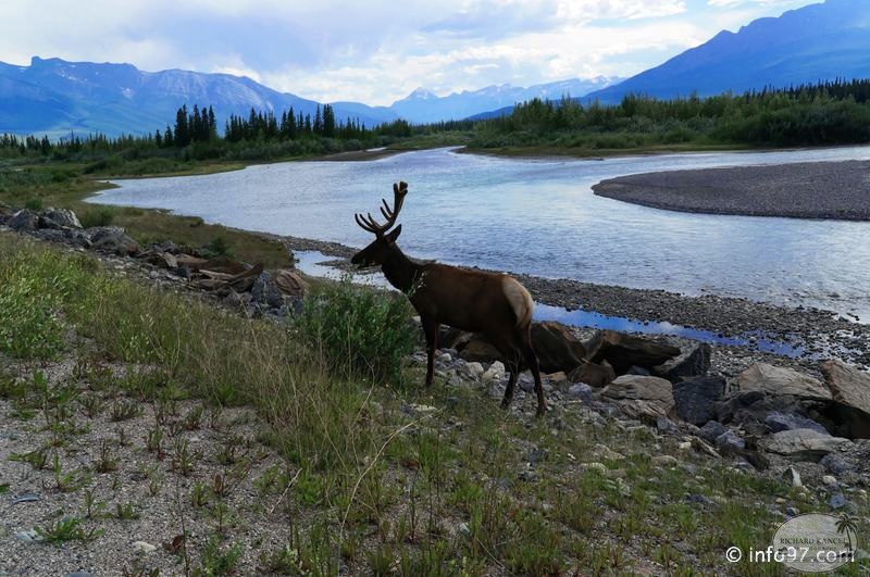 park-jasper-100.jpg
