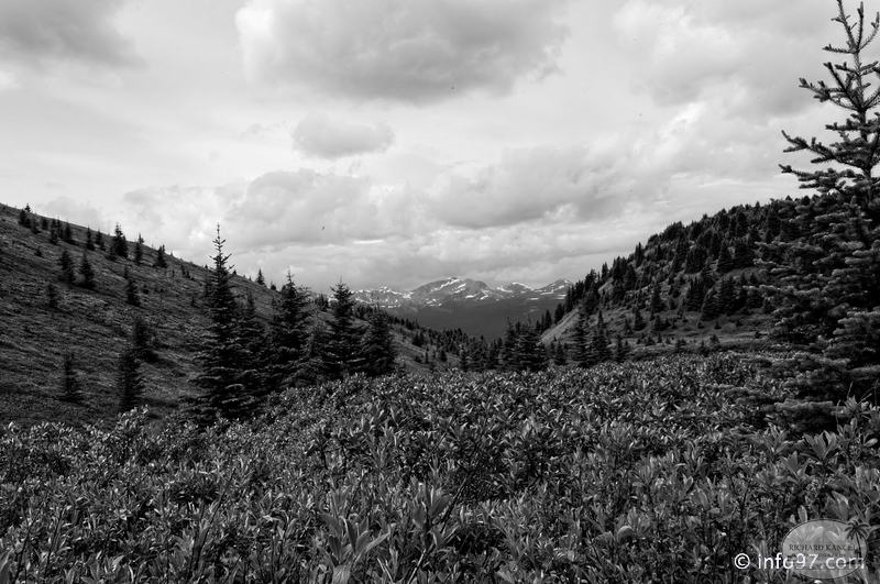 lac-maligne-21.jpg