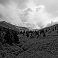 lac-maligne-22.jpg