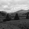 lac-maligne-24.jpg