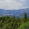 lac-maligne-31.jpg