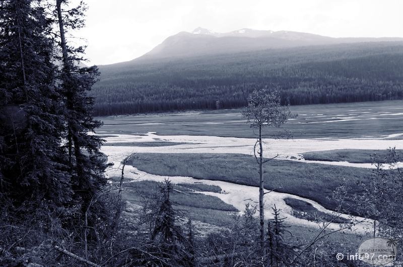 lac-maligne-61.jpg