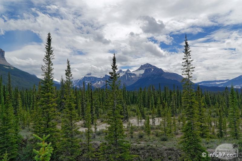 les-rocheuses-alberta-61.jpg