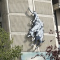 rodeo-stampede-alberta-011.jpg