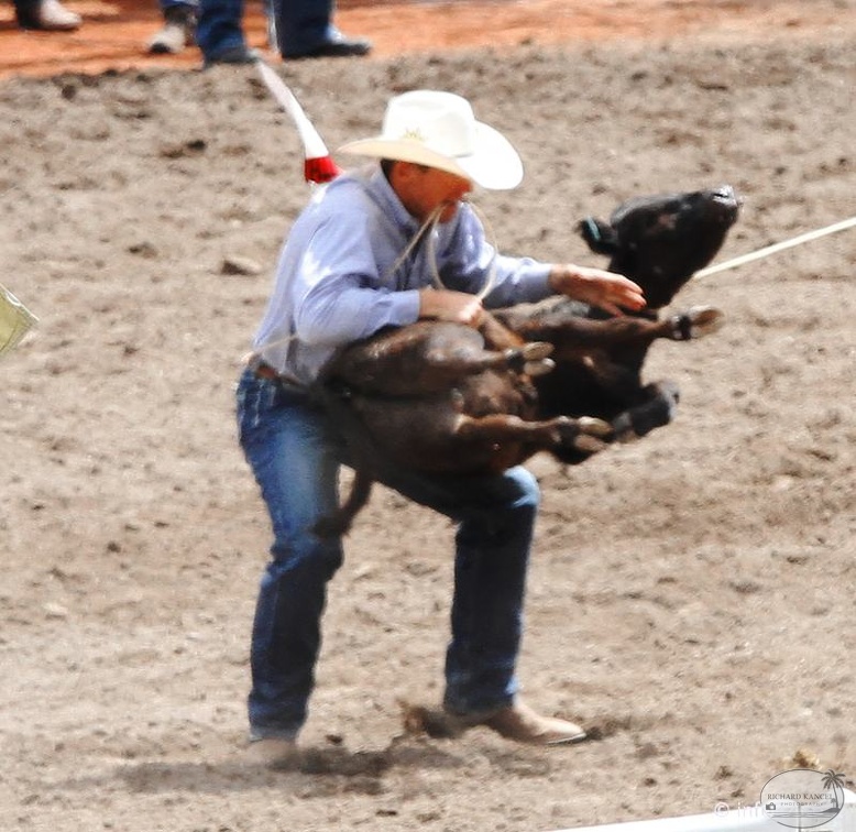 rodeo-stampede-alberta-028.jpg