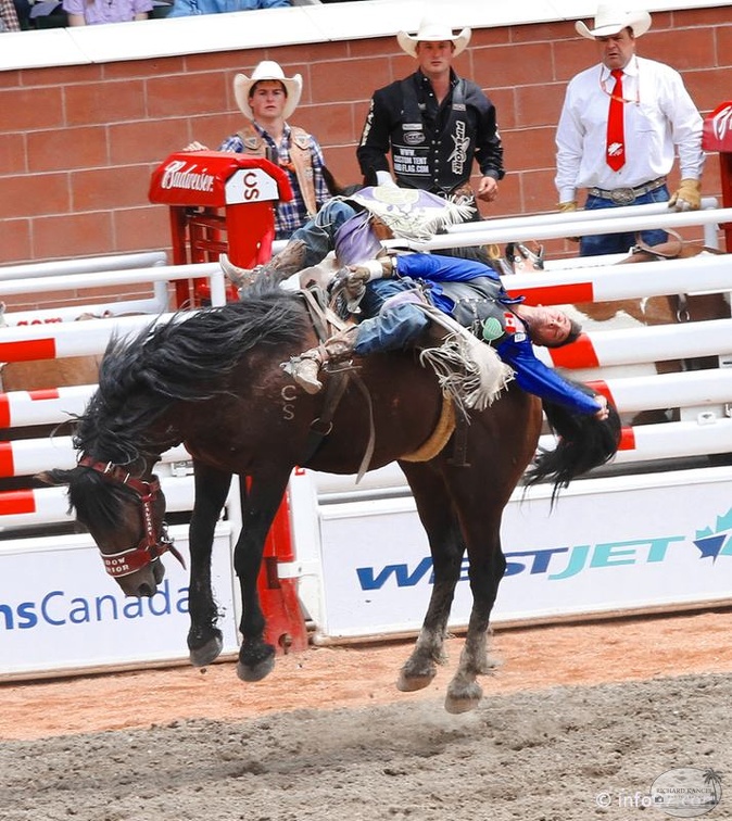 rodeo-stampede-alberta-033.jpg