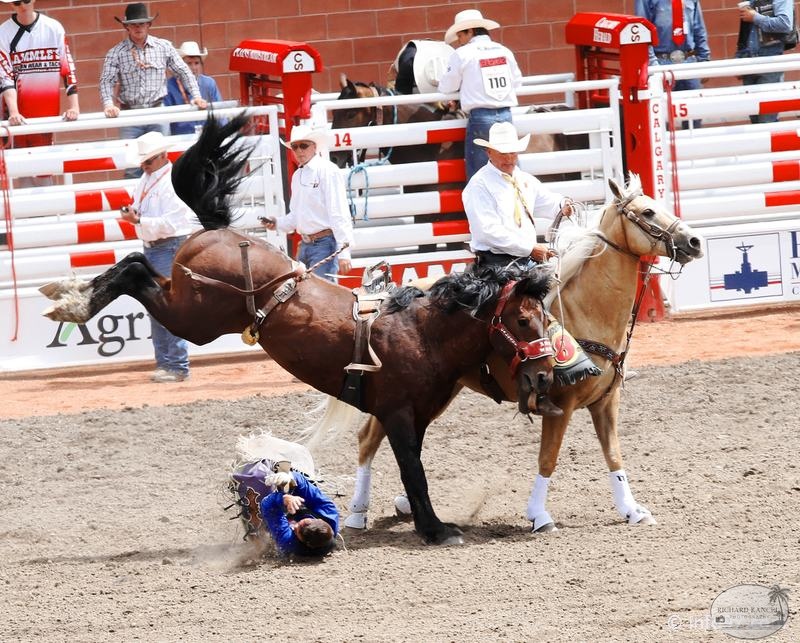 rodeo-stampede-alberta-037.jpg