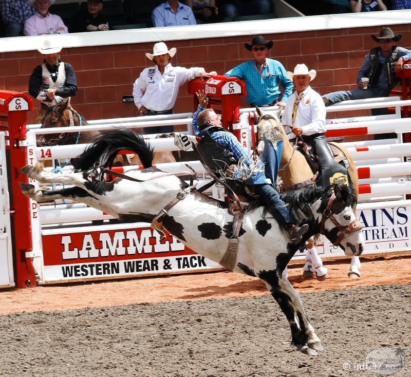 rodeo-stampede-alberta-039.jpg