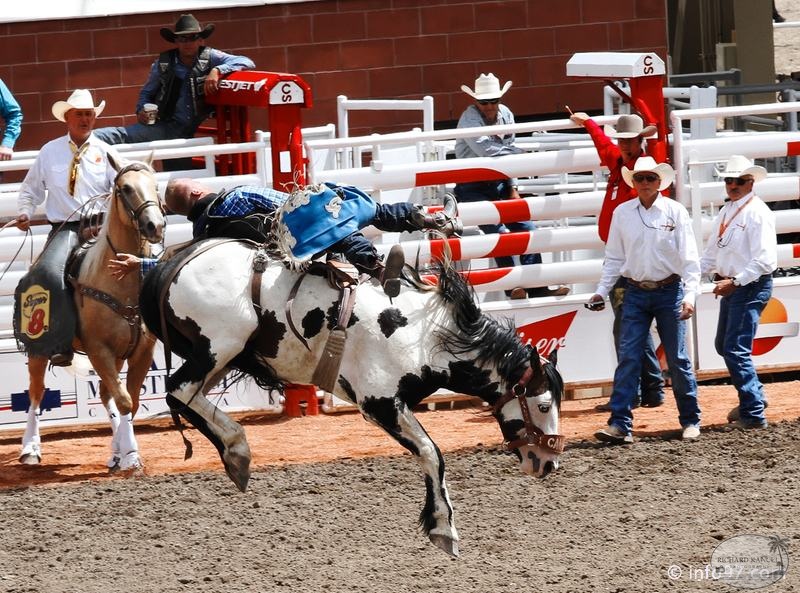 rodeo-stampede-alberta-040.jpg