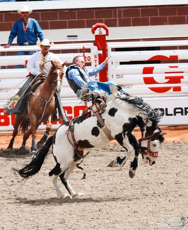 rodeo-stampede-alberta-045.jpg
