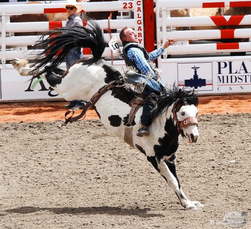 rodeo-stampede-alberta-046.jpg