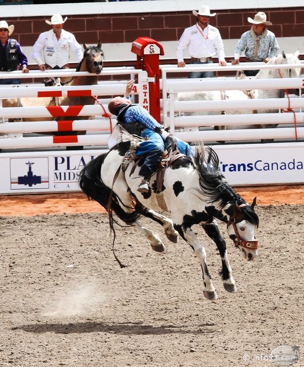 rodeo-stampede-alberta-048.jpg
