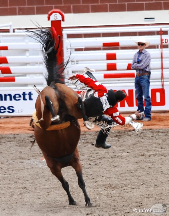 rodeo-stampede-alberta-050.jpg