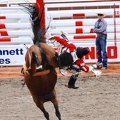 rodeo-stampede-alberta-050.jpg