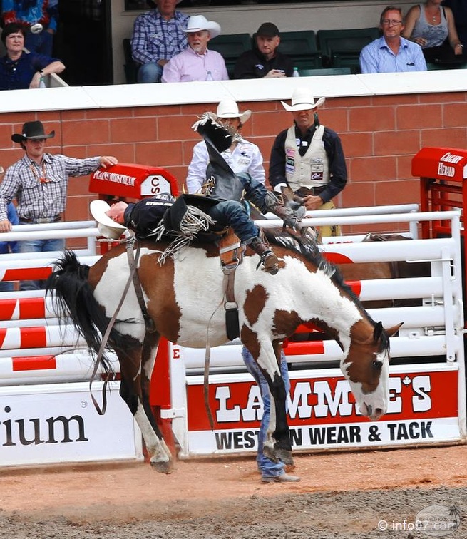 rodeo-stampede-alberta-051.jpg
