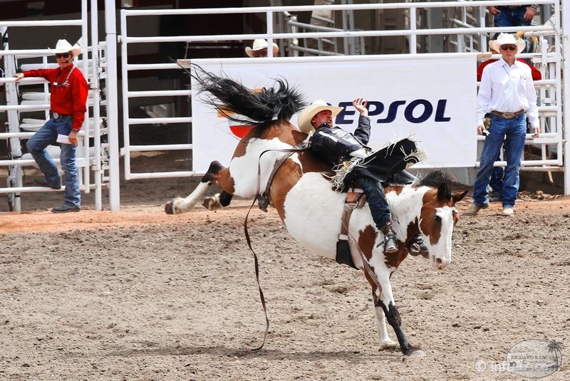 rodeo-stampede-alberta-052.jpg