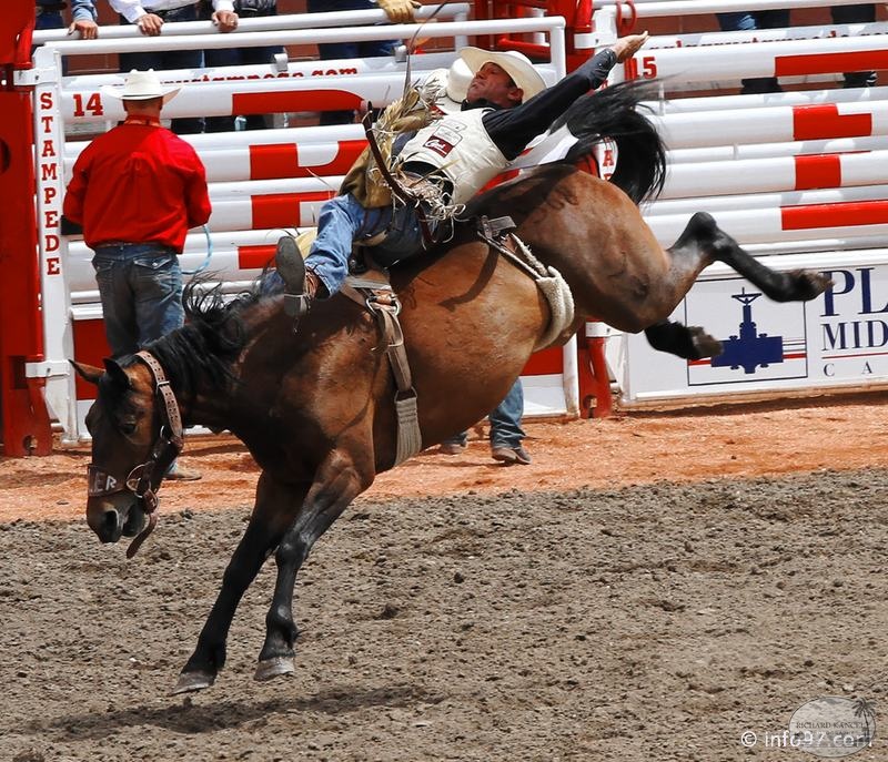 rodeo-stampede-alberta-061.jpg