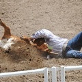175 fotos rodeo-stampede-alberta-066.jpg