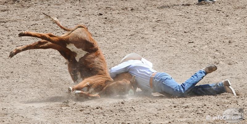 rodeo-stampede-alberta-074.jpg