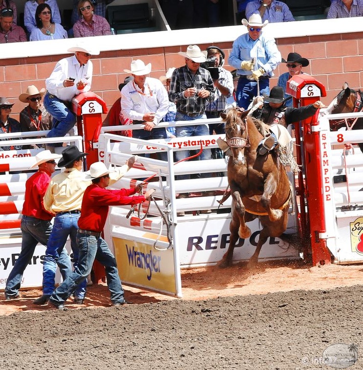 rodeo-stampede-alberta-075.jpg