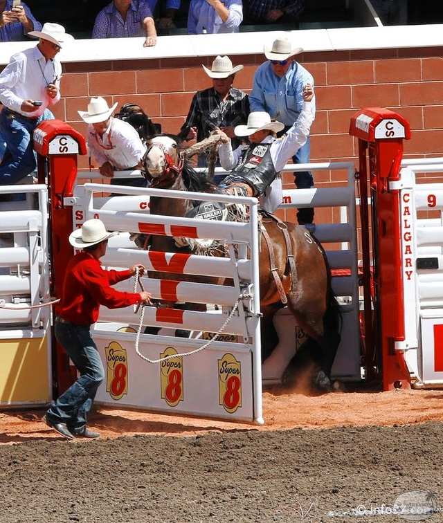 rodeo-stampede-alberta-080.jpg