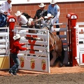 изображений: 175 rodeo-stampede-alberta-080.jpg