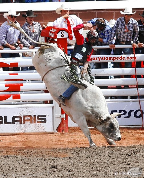 rodeo-stampede-alberta-094.jpg