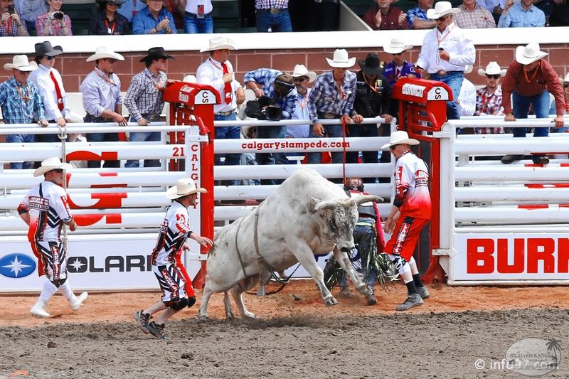 rodeo-stampede-alberta-099.jpg