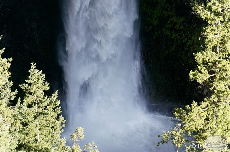 clearwater-park-wells-gray-063.jpg